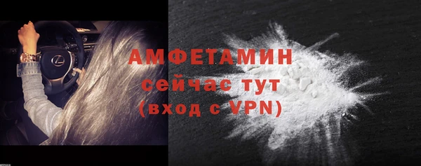 молекула духа Покров