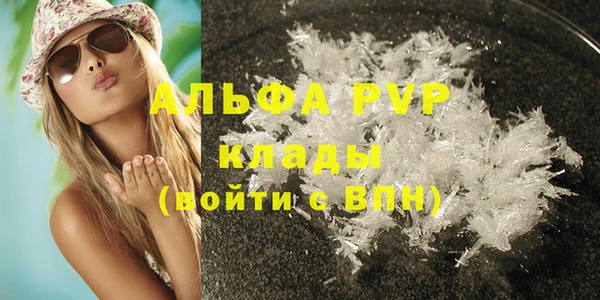дмт Пересвет