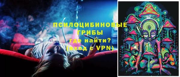дмт Пересвет