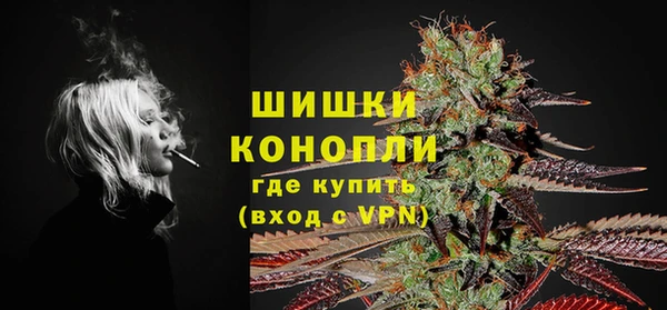 молекула духа Покров