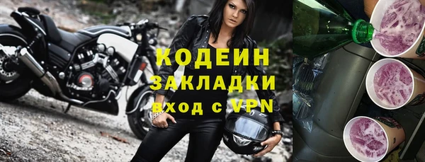 дмт Пересвет
