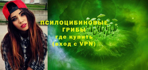 молекула духа Покров