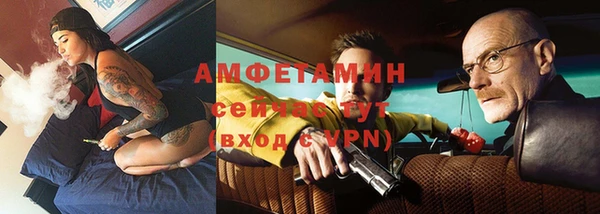 дмт Пересвет