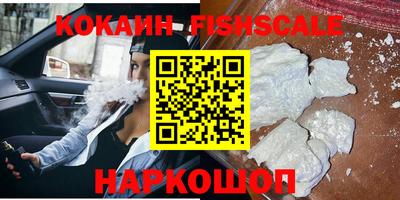 шишки Абакан