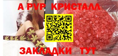 спайс Берёзовский