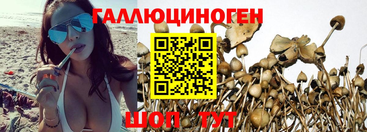 Галлюциногенные грибы ЛСД  Вход с VPN  даркнет сайт  Кропоткин  Галлюциногенные грибы мицелий 
