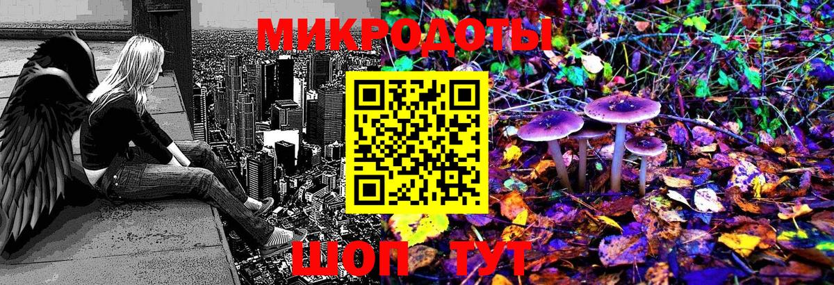 Псилоцибиновые грибы MAGIC MUSHROOMS  Кропоткин 